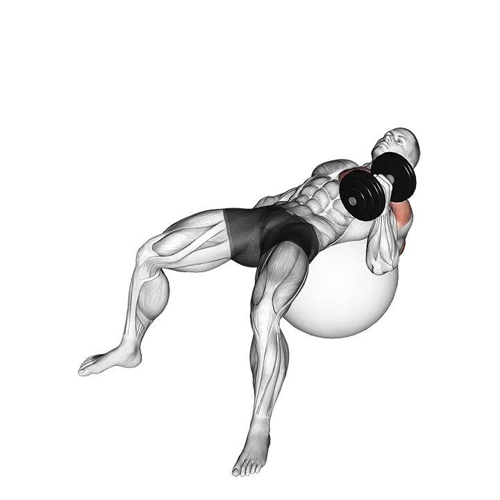 Dumbbell One Arm Hammer Press on Exercise Ball exercise animation (Male)