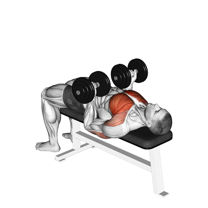 Dumbbell Reverse Bench Press exercise animation (Male)
