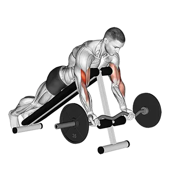 EZ Barbell Spider Curl