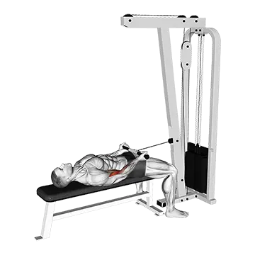 Cable Lying Bicep Curl