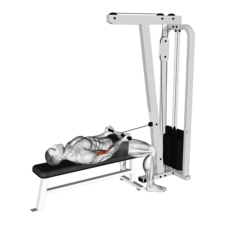 Cable Lying Bicep Curl exercise animation (Hombre)