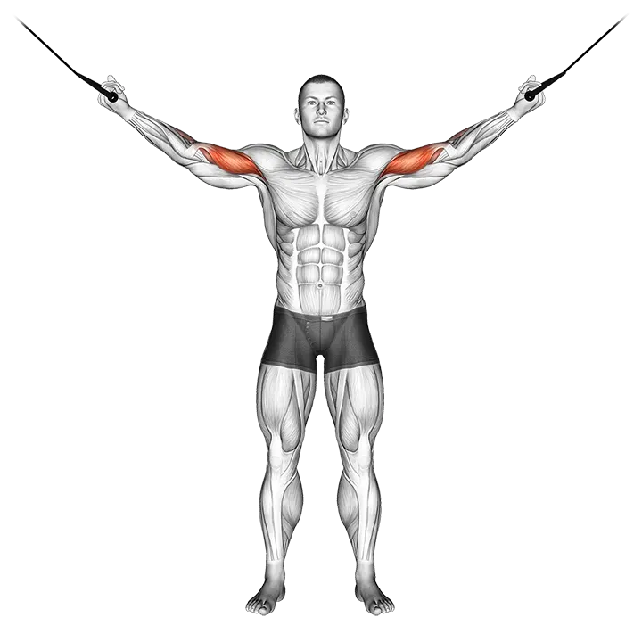 Cable Overhead Curl exercise animation (Male)