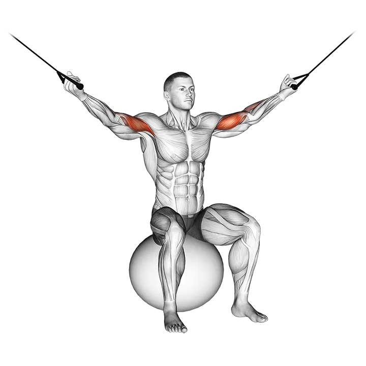Cable Overhead Curl on Exercise Ball exercise animation (Male)