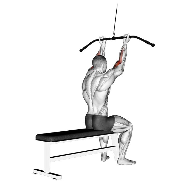 Cable Pulldown Bicep Curl exercise animation (Male)