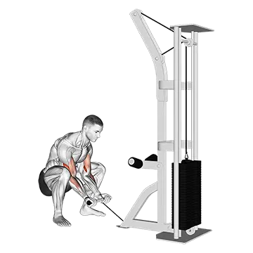 Cable Squatting Curl