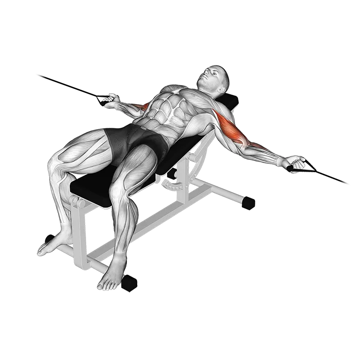 Cable Two Arm Curl on Incline Bench exercise animation (Male)