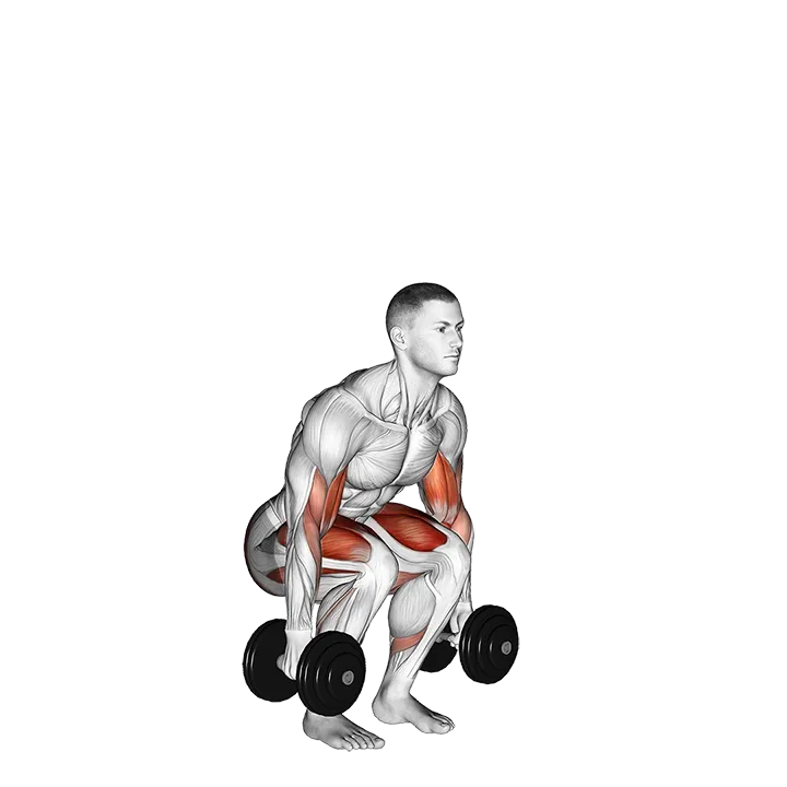 Dumbbell Biceps Curl Squat exercise animation (Male)