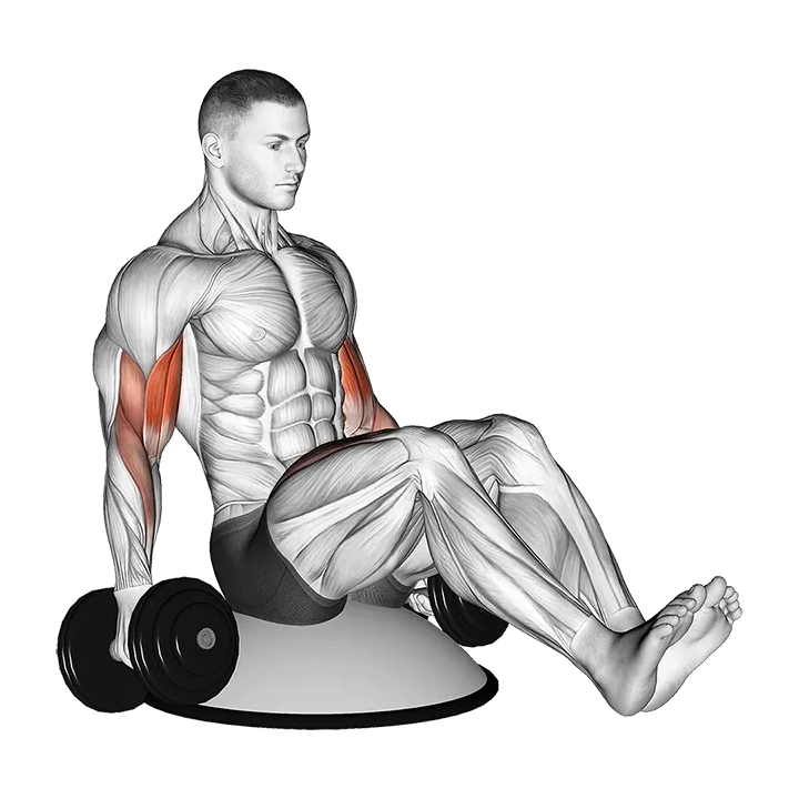 Dumbbell Biceps Curl V Sit on Bosu Ball exercise animation (Male)