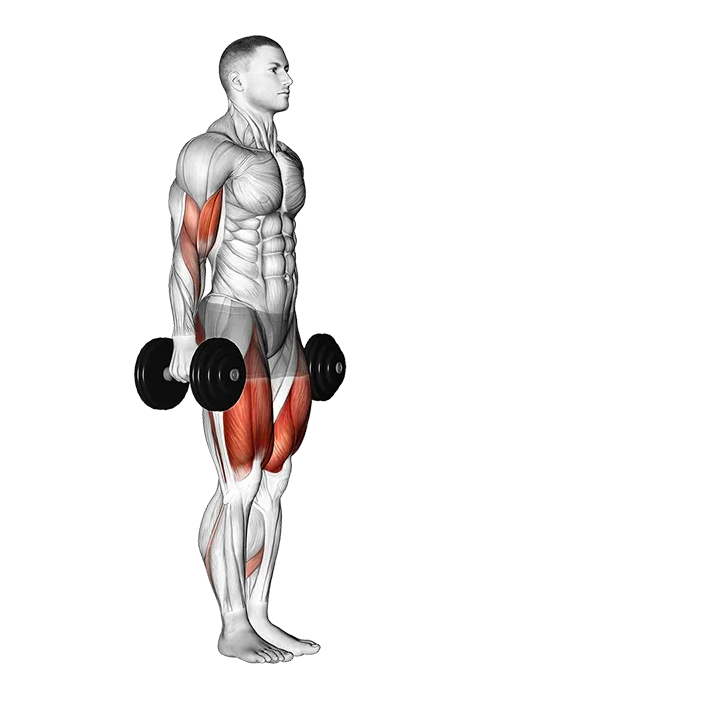 Dumbbell Lunge with Bicep Curl exercise animation (Male)