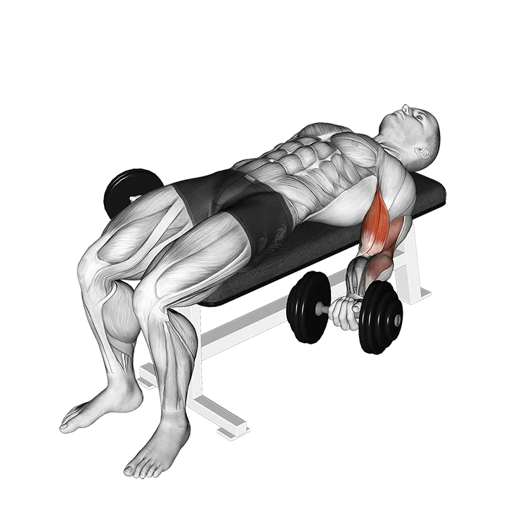 Dumbbell Lying Supine Biceps Curl exercise animation (Male)