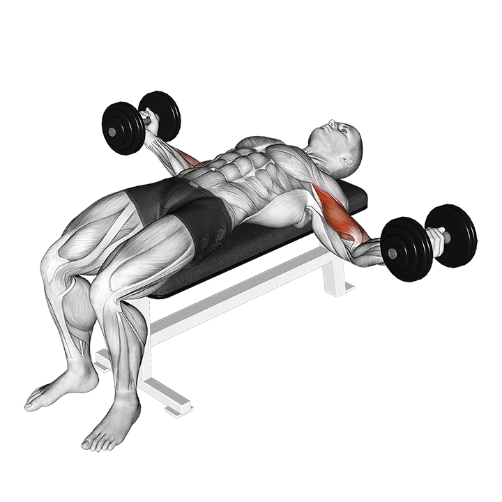 Dumbbell Lying Wide Curl exercise animation (Male)