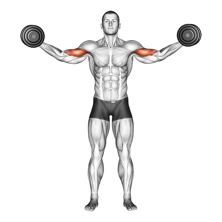 Dumbbell High Curl exercise animation (Male)