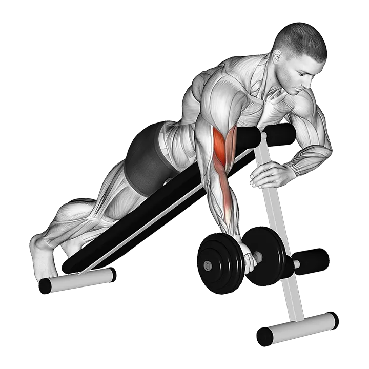 Dumbbell One Arm Prone Curl exercise animation (Male)