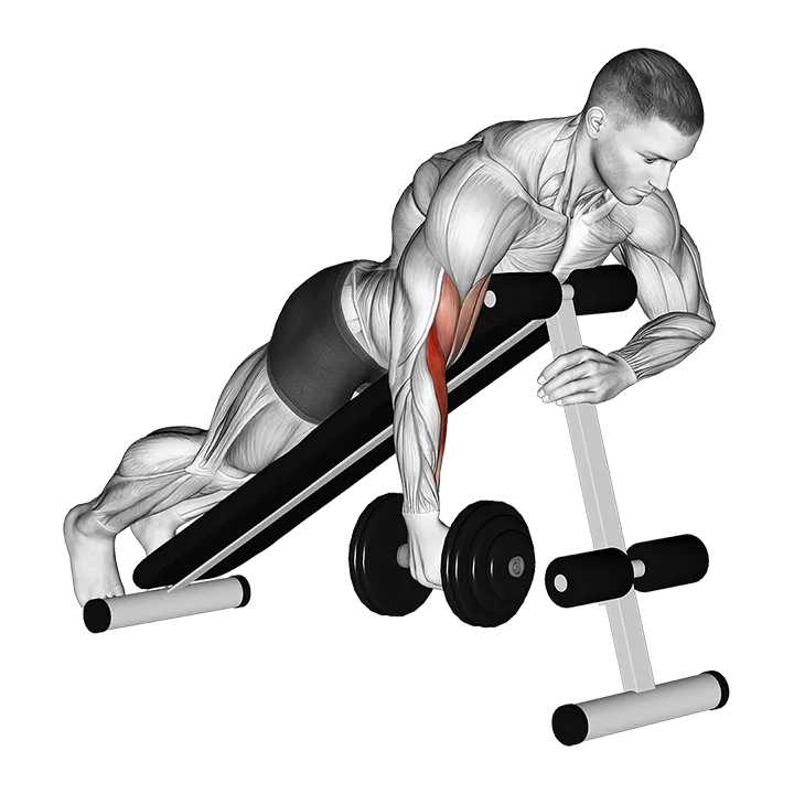 Dumbbell One Arm Prone Hammer Curl exercise animation (Male)