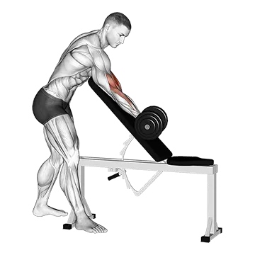 Dumbbell One Arm Zottman Preacher Curl