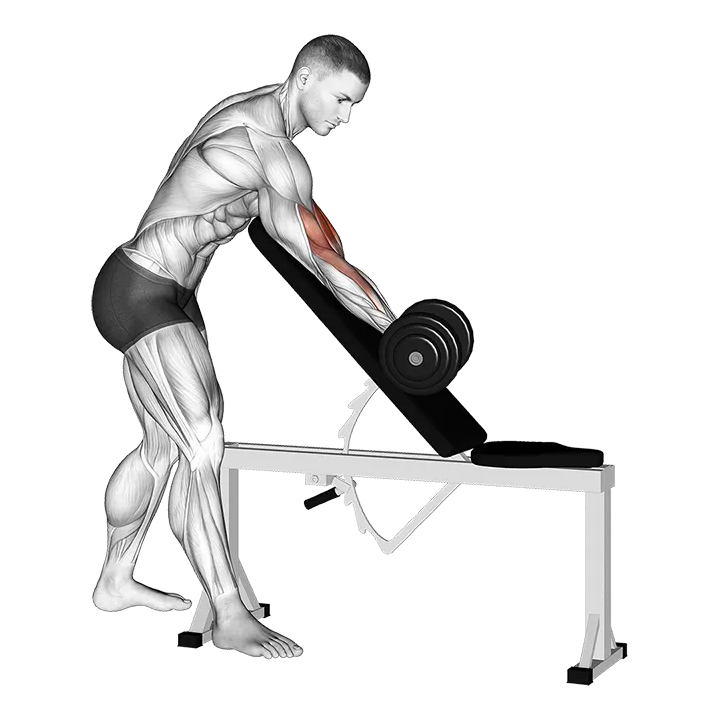 Dumbbell One Arm Zottman Preacher Curl exercise animation (Male)