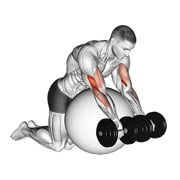 Dumbbell Preacher Curl over Exercise Ball