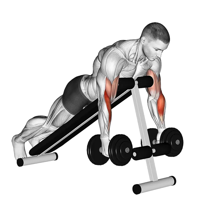 Dumbbell Prone Incline Hammer Curl exercise animation (Male)