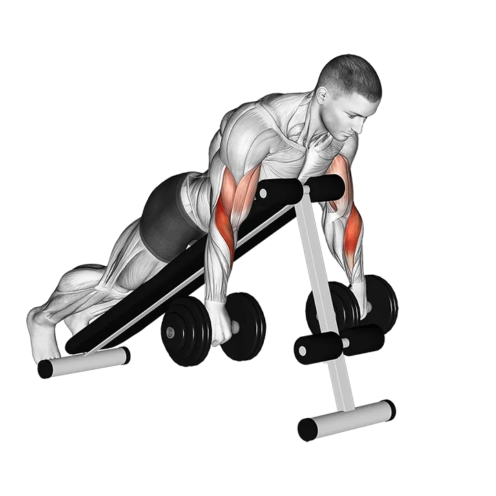 Dumbbell Reverse Spider Curl exercise animation (Male)