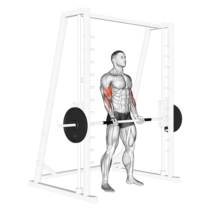 Smith Machine Bicep Curl exercise animation (Männlich)