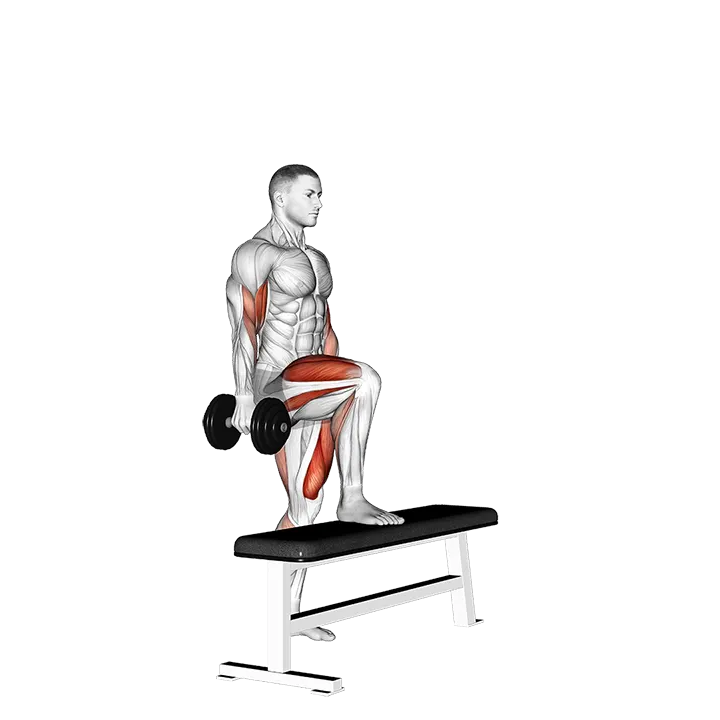 Dumbbell Step Up Single Leg Balance with Bicep Curl exercise animation (Male)
