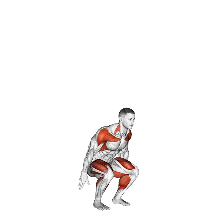 Squat to Overhead Reach exercise animation (Male)