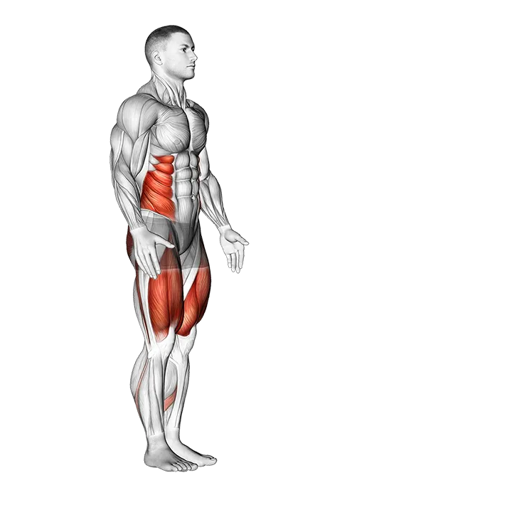 Lunge with Twist exercise animation (Male)