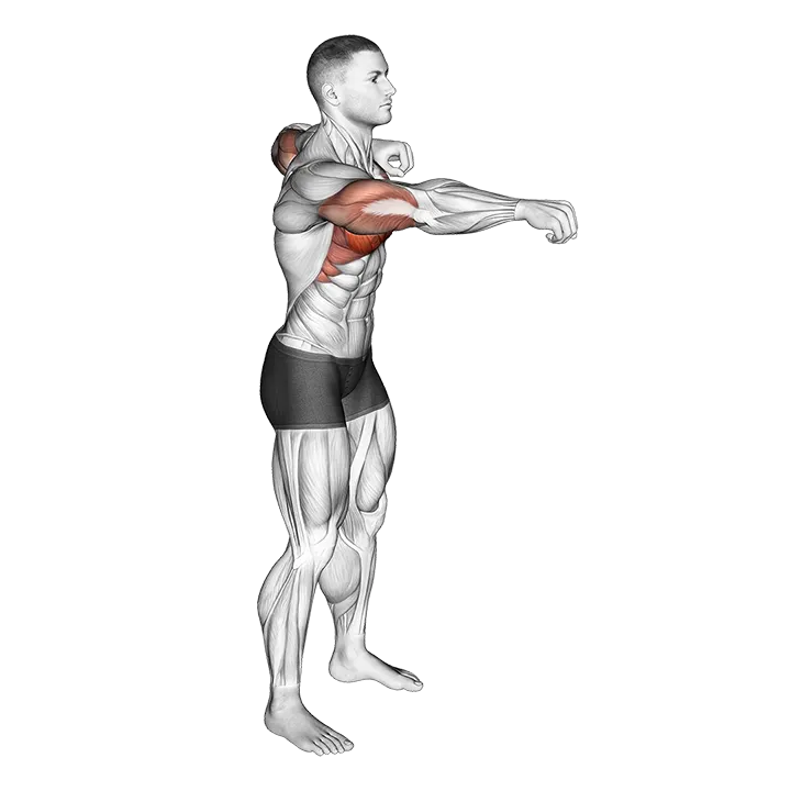 Push and Pull Bodyweight exercise animation (Male)