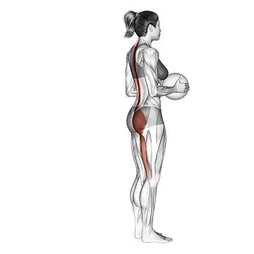 Medicine Ball Single Leg Deadlift