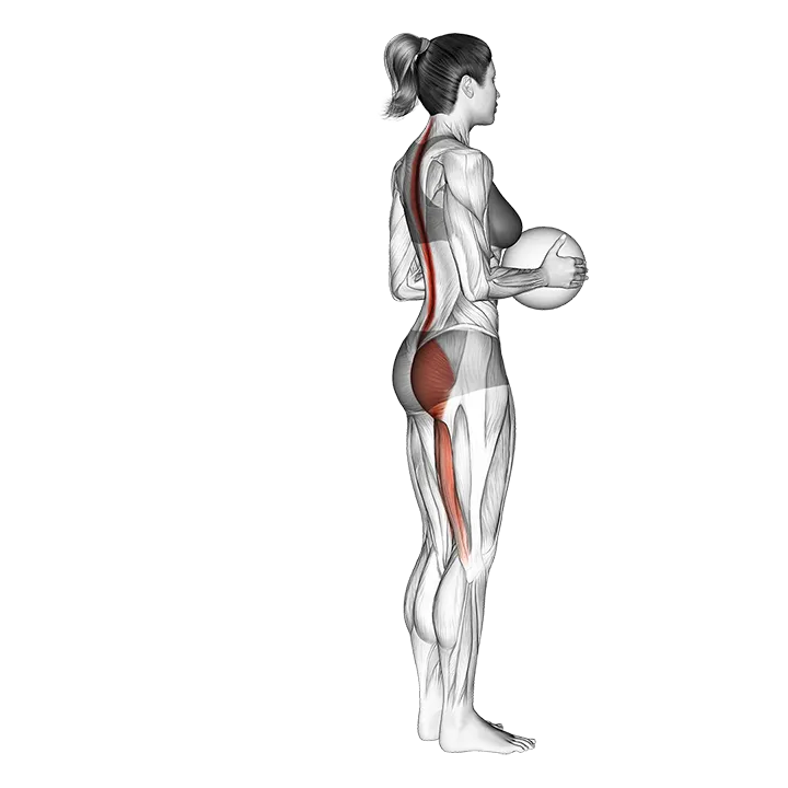 Medicine Ball Single Leg Deadlift exercise animation (Female)