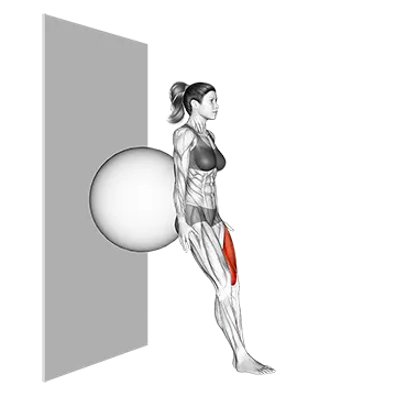 Stability Ball Single Leg Squat