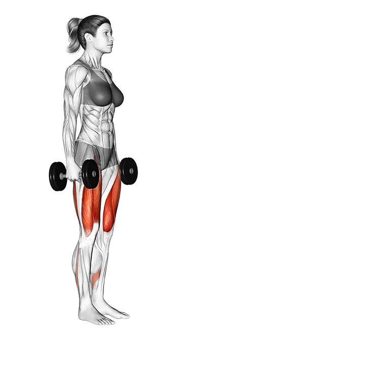 Transverse Plane Dumbbell Lunge exercise animation (Female)