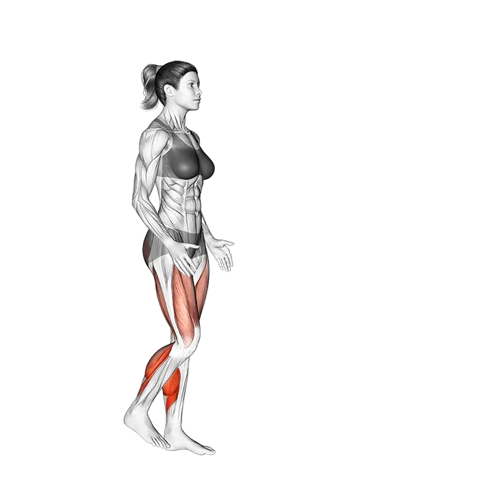 Forward Hops exercise animation (Female)