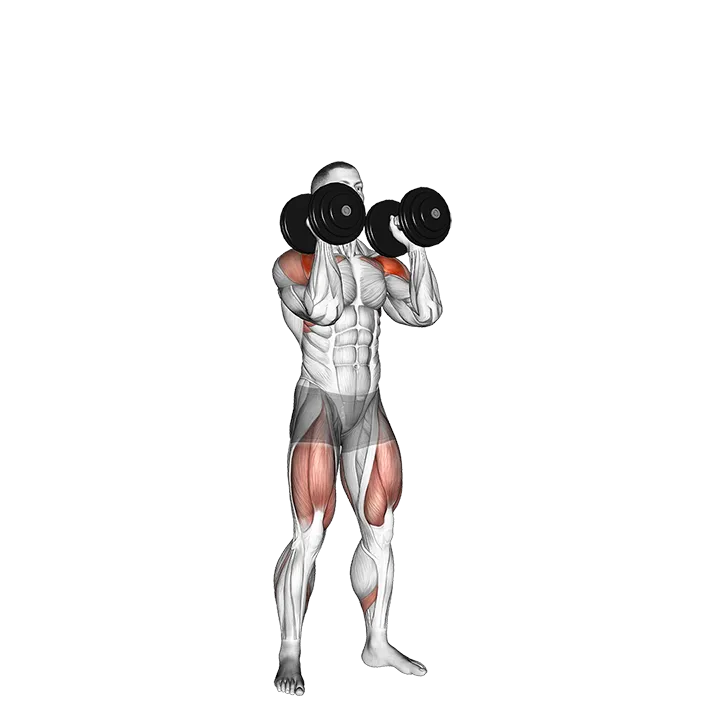 Dumbbell Push Press exercise animation (Male)