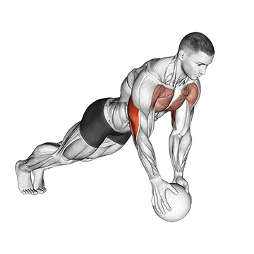 Medicine Ball Close Grip Push Up
