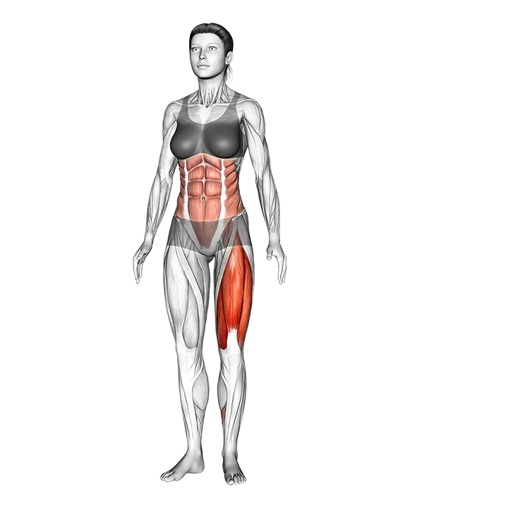 Single Leg Transverse Bend exercise animation (Female)
