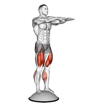 Squat On Bosu Ball
