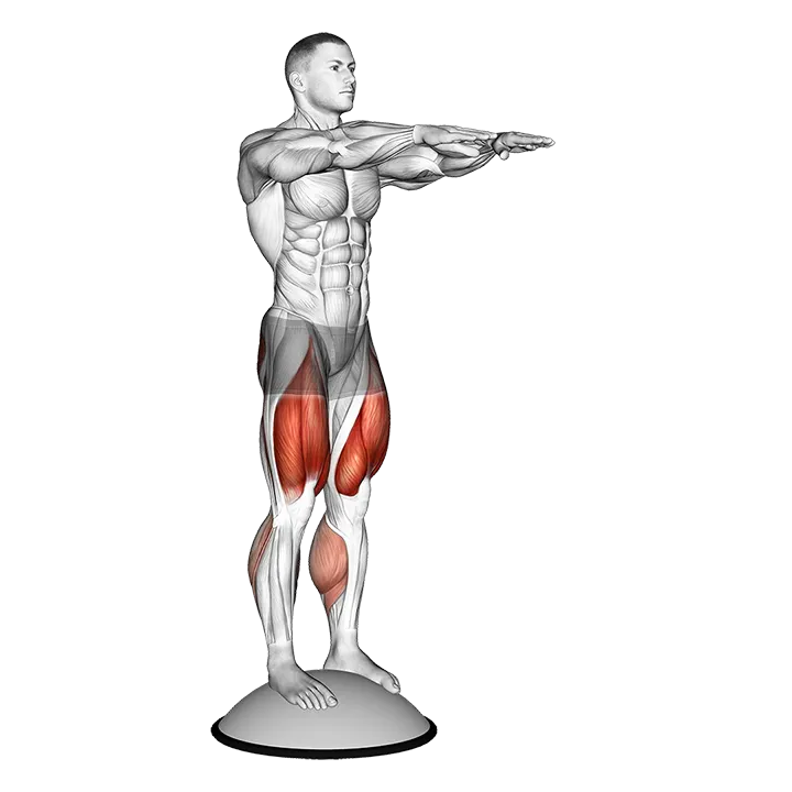 Squat On Bosu Ball exercise animation (Hombre)