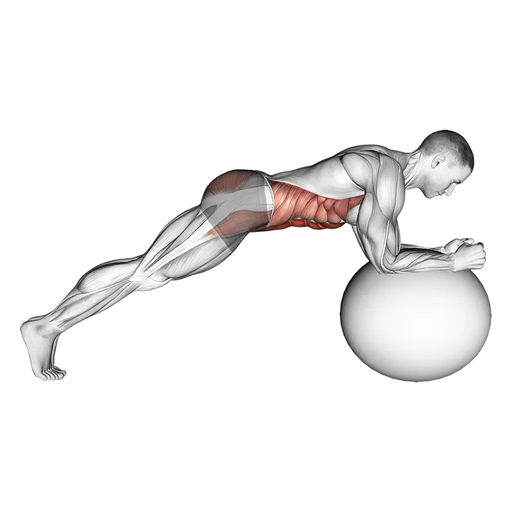 Stability Ball Front Plank exercise animation (Male)