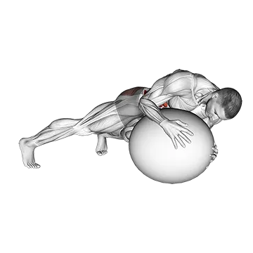 Prone Twist On Stability Ball