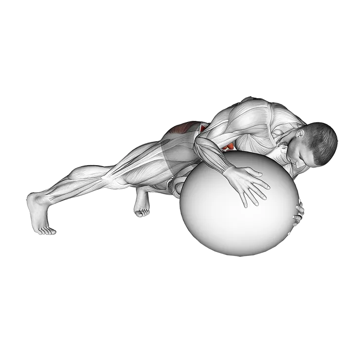 Prone Twist On Stability Ball exercise animation (Male)