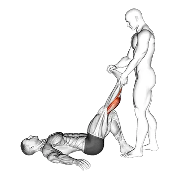 Assisted Lying Gastrocnemius Stretch