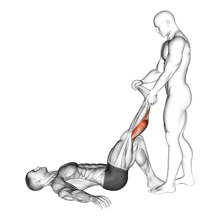 Assistierter liegender Gastrocnemius-Dehnung exercise animation (Männlich)