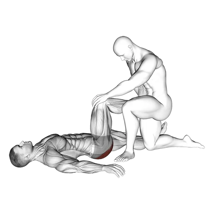 Assisted Lying Gluteus Maximus Stretch exercise animation (Male)