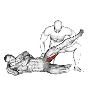 Assisted Side Lying Adductor Stretch