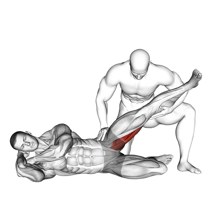 Assisted Side Lying Adductor Stretch exercise animation (Male)