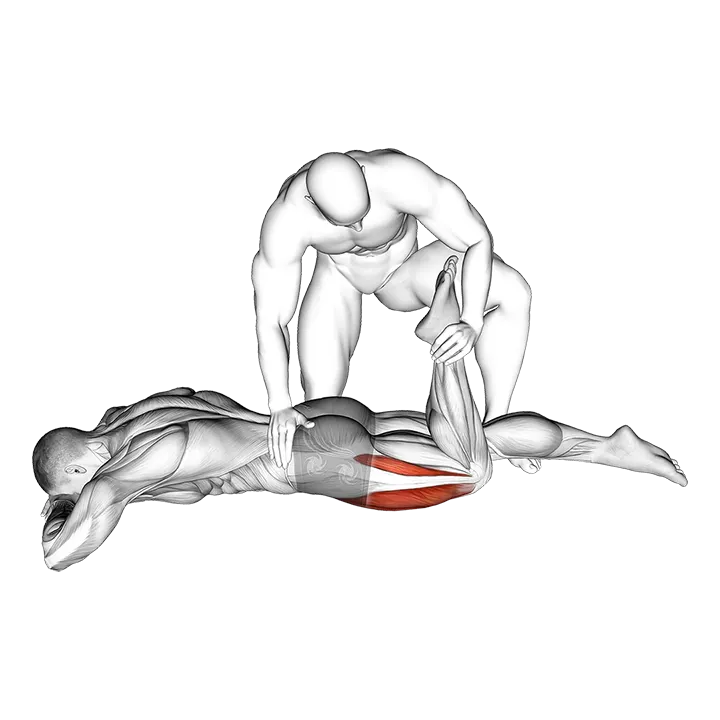 Estiramiento asistido de cuádriceps en posición prona exercise animation (Hombre)