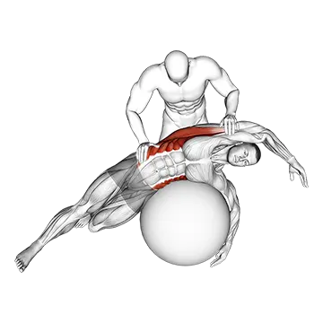 Assisted Oblique And Latissimus Dorsi Stretch On Stability Ball
