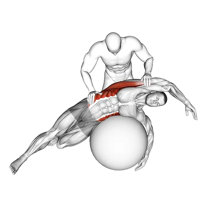 Estiramiento asistido de oblicuos y dorsal ancho sobre fitball exercise animation (Hombre)