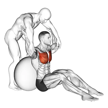Assisted Seated Pectoralis Major Stretch With Stability Ball